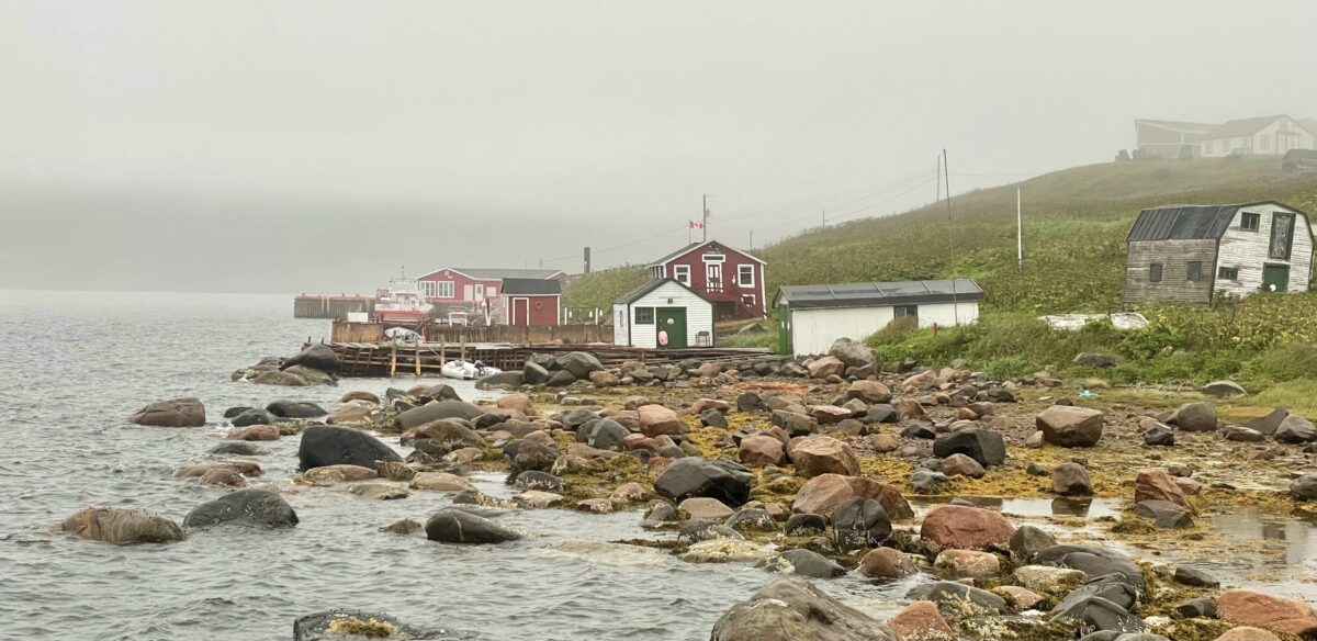 What is Newfoundland?