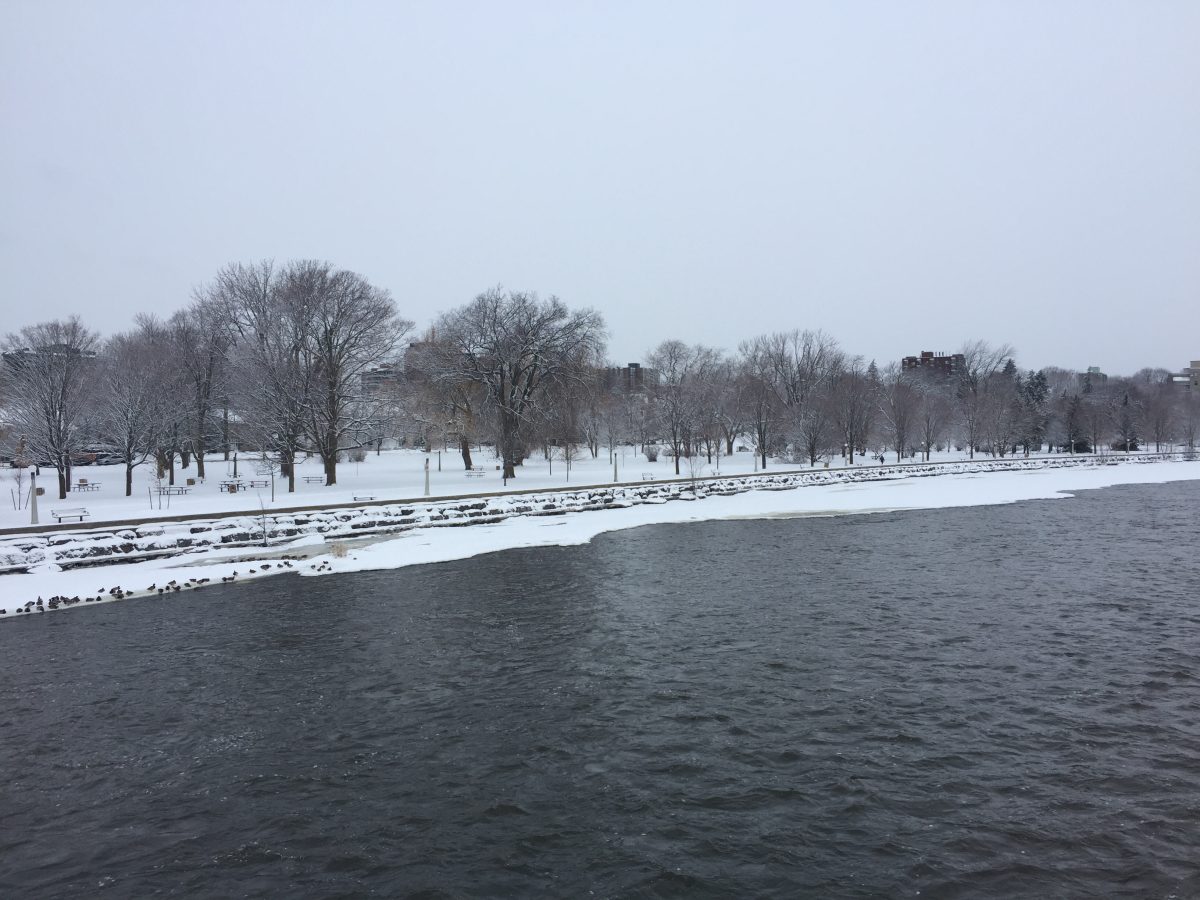 Snowy Ottawa